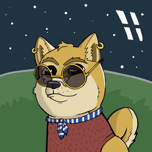 DogeXJR#1907