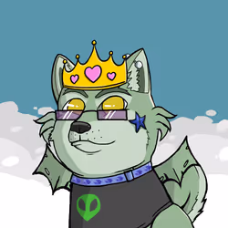 DogeXJR#1103
