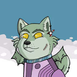 DogeXJR#2136