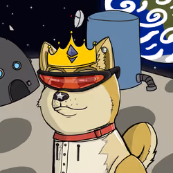 DogeXJR#37