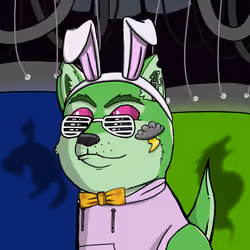 DogeXJR#1348