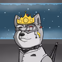 DogeXJR#1971