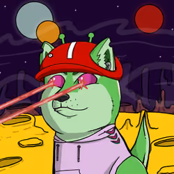 DogeXJR#1360