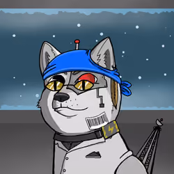 DogeXJR#308