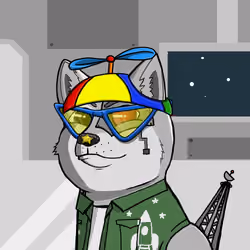 DogeXJR#1967