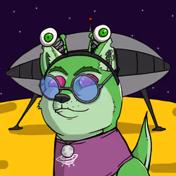 DogeXJR#588