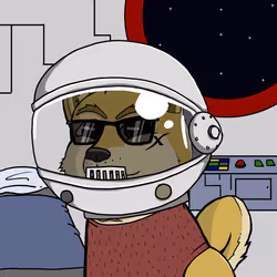 DogeXJR#2274