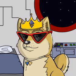 DogeXJR#29