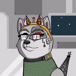 DogeXJR#1233