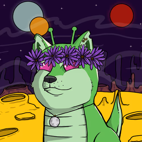 Dogexjr