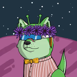 DogeXJR#1365