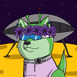 DogeXJR#1370