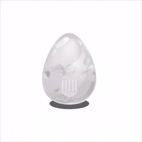 White Swan Egg
