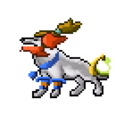 Hound #1338