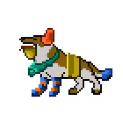 Hound #897