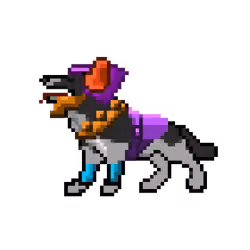 Hound #1387