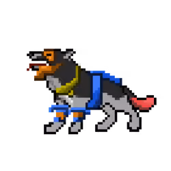 Hound #984