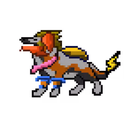Hound #976