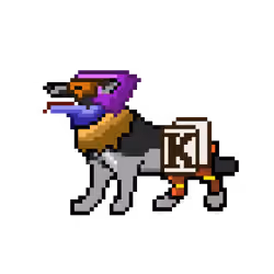 Hound #1234