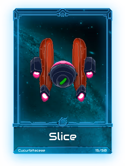 Item #30000014 Media