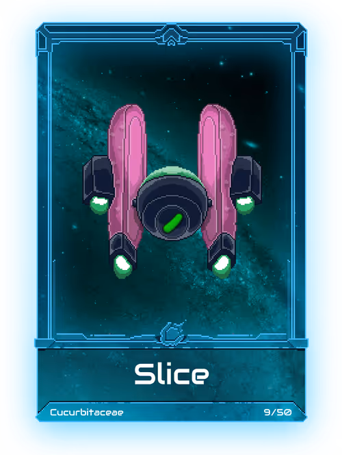 Item #30000008 Media