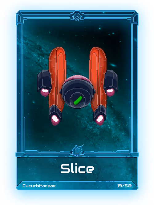 Item #30000018 Media