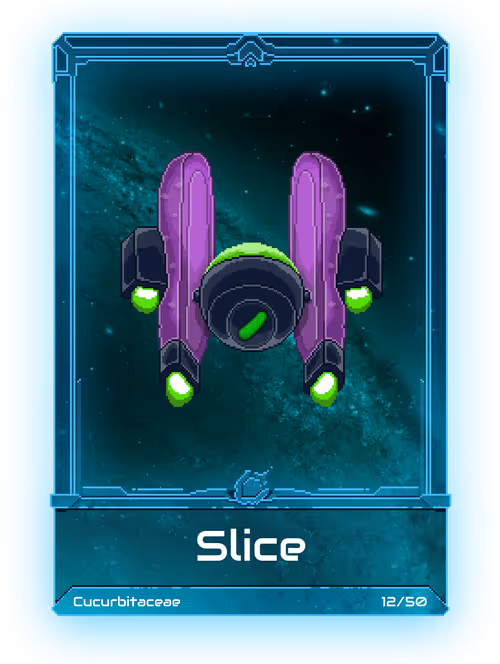 Item #30000011 Media