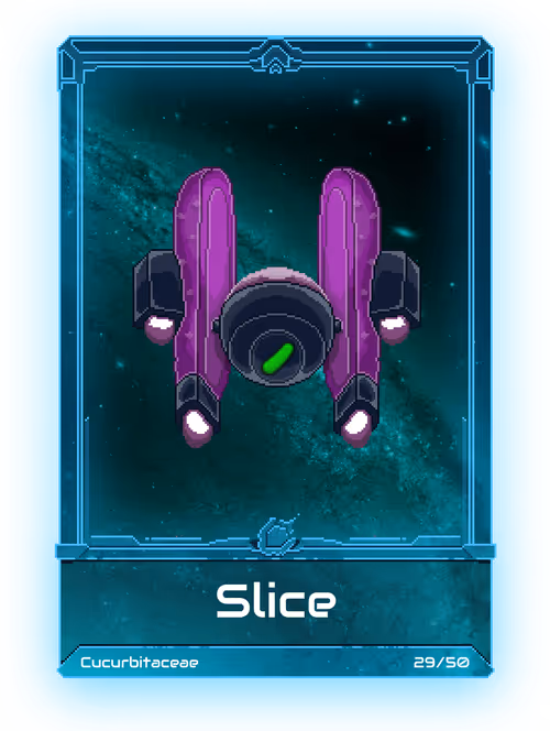 Item #30000028 Media