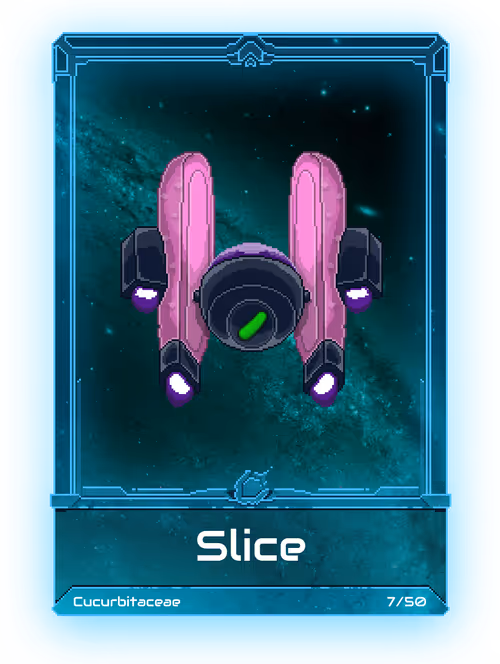 Item #30000006 Media