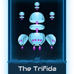 62000004
