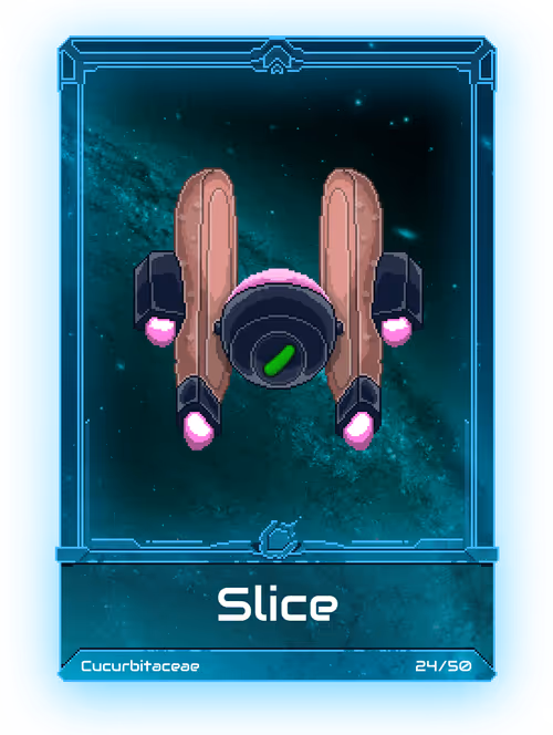 Item #30000023 Media