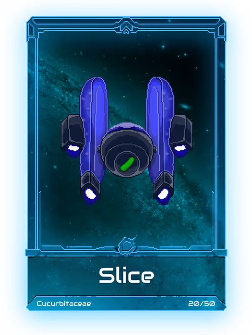 Item #30000019 Media