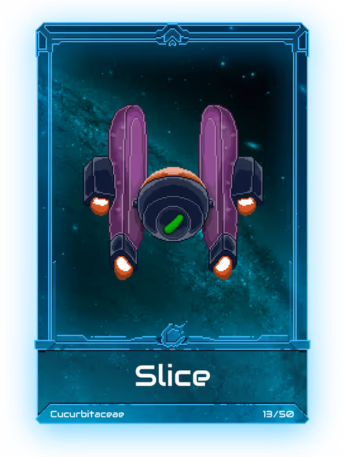 Item #30000012 Media