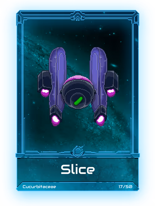 Item #30000016 Media