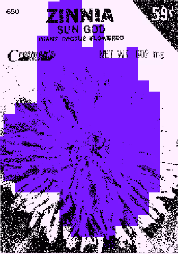 SEEDS #1174