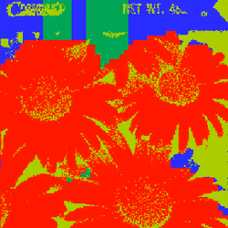 SEEDS #963