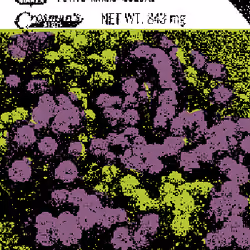 SEEDS #1163