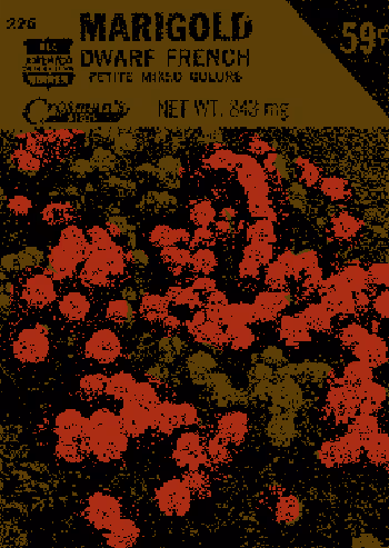 Seeds Luciensmith