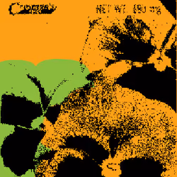 SEEDS #1509