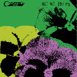 SEEDS #78