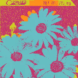 SEEDS #1164