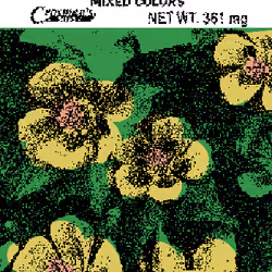 SEEDS #1041