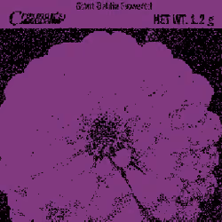 SEEDS #913