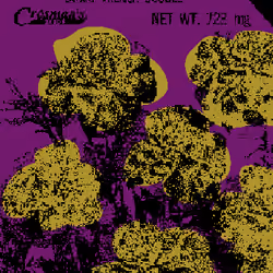 SEEDS #418