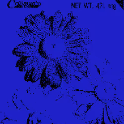 SEEDS #242