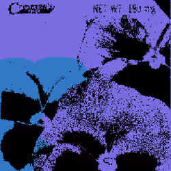 SEEDS #354