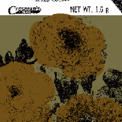 SEEDS #1477