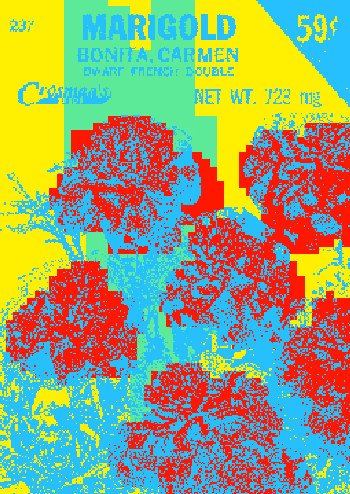 SEEDS #1512