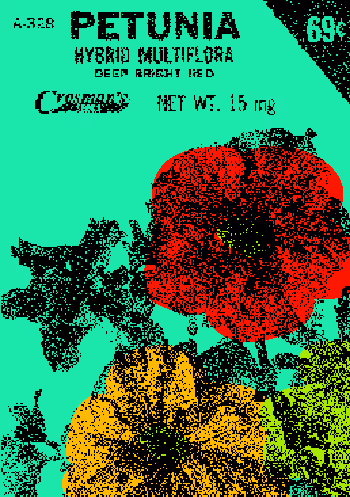 SEEDS #1272