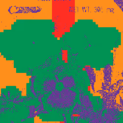 SEEDS #989